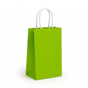 Paper Bag for gift